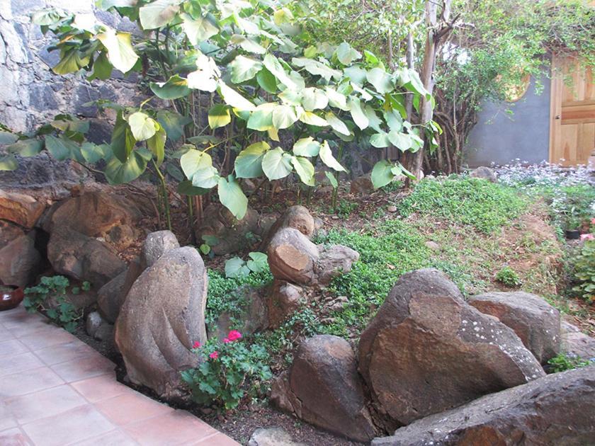 埃斯坦西亚德拉伊拉住宿加早餐酒店 Pátzcuaro 外观 照片